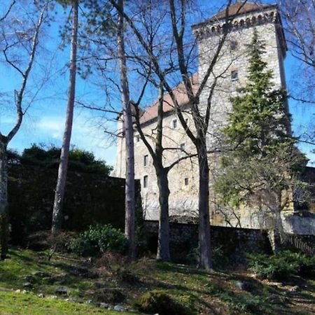 Lodge & Castle - Vue Chateau - Climatisation - Majord'Home Άννεσι Εξωτερικό φωτογραφία